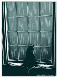 cat-rain.gif